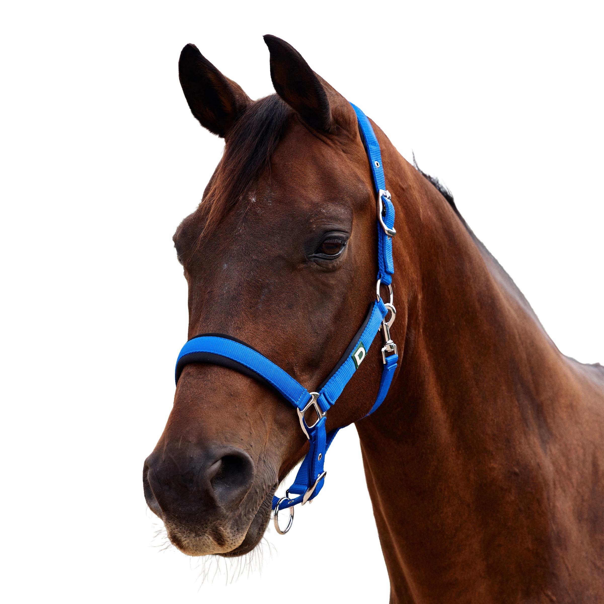 Dublin Neo Comfort Headcollar