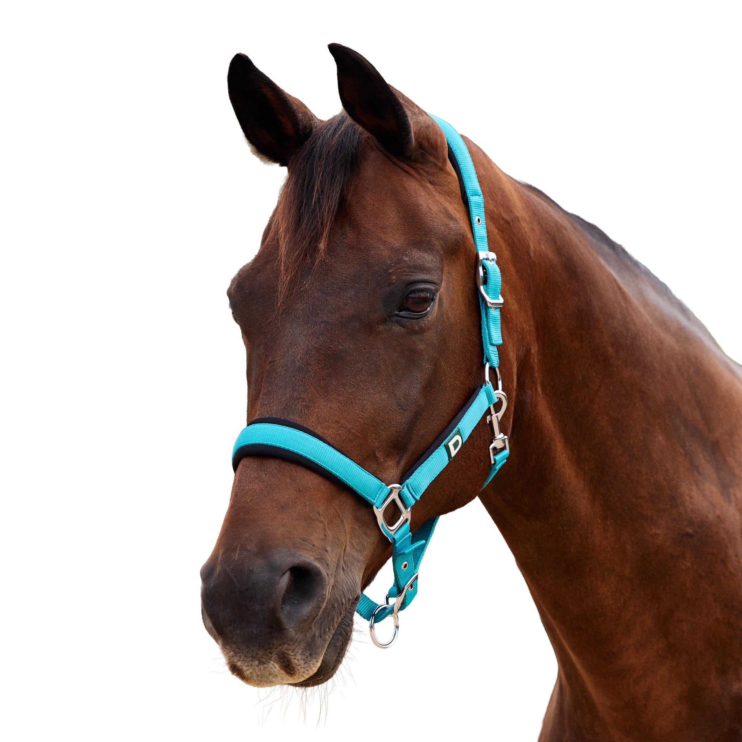 Dublin Neo Comfort Headcollar