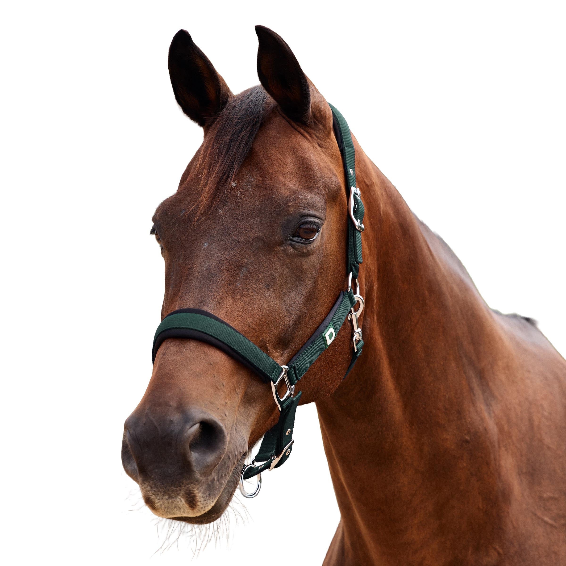 Dublin Neo Comfort Headcollar