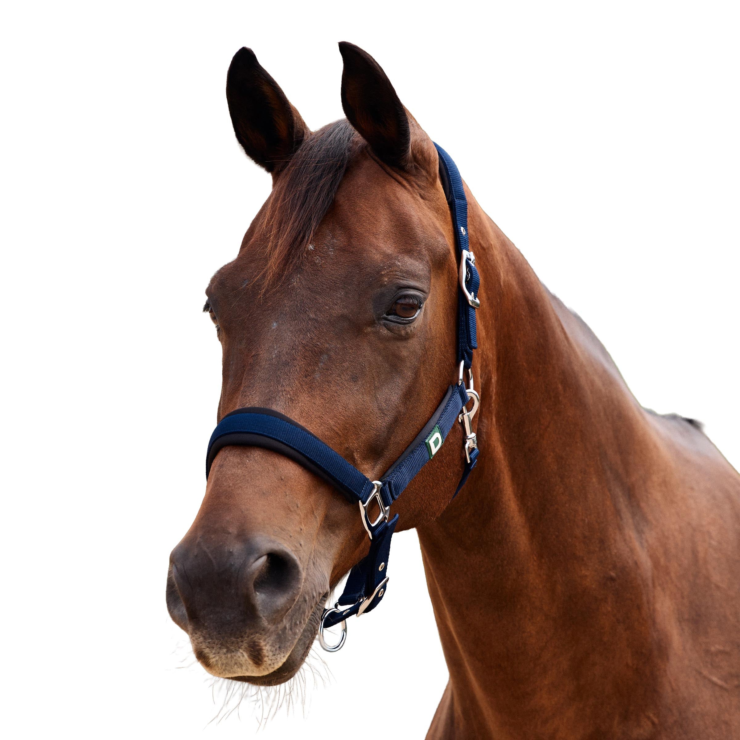 Dublin Neo Comfort Headcollar