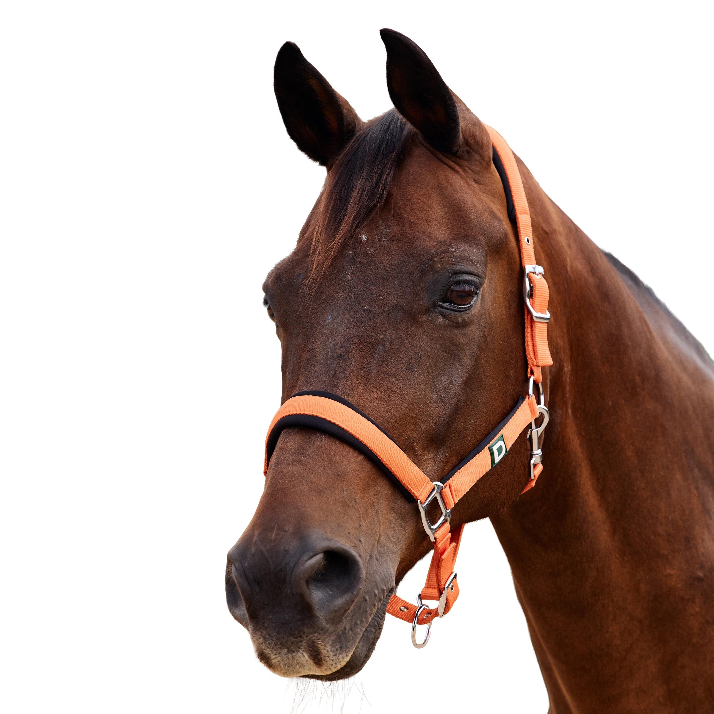 Dublin Neo Comfort Headcollar
