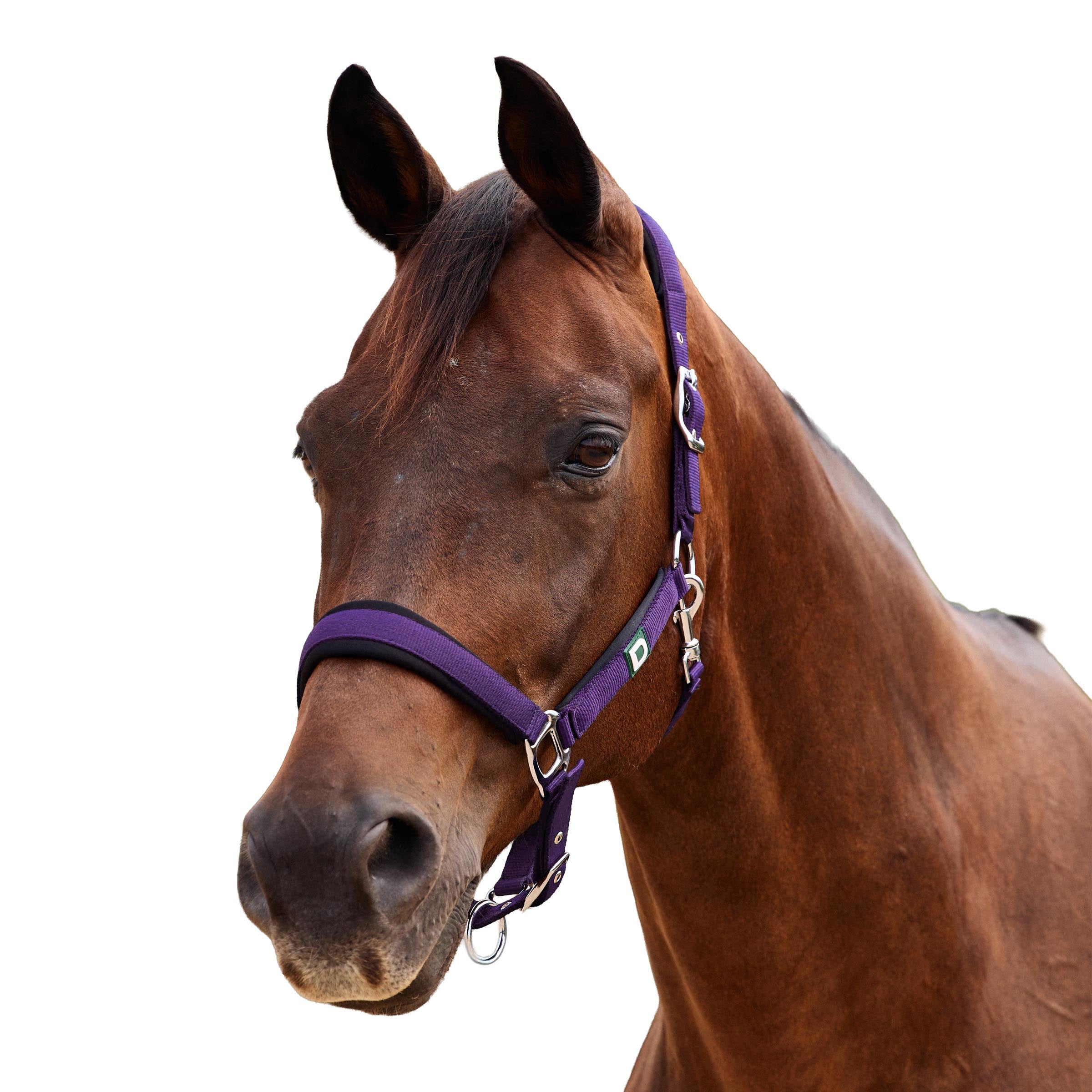 Dublin Neo Comfort Headcollar