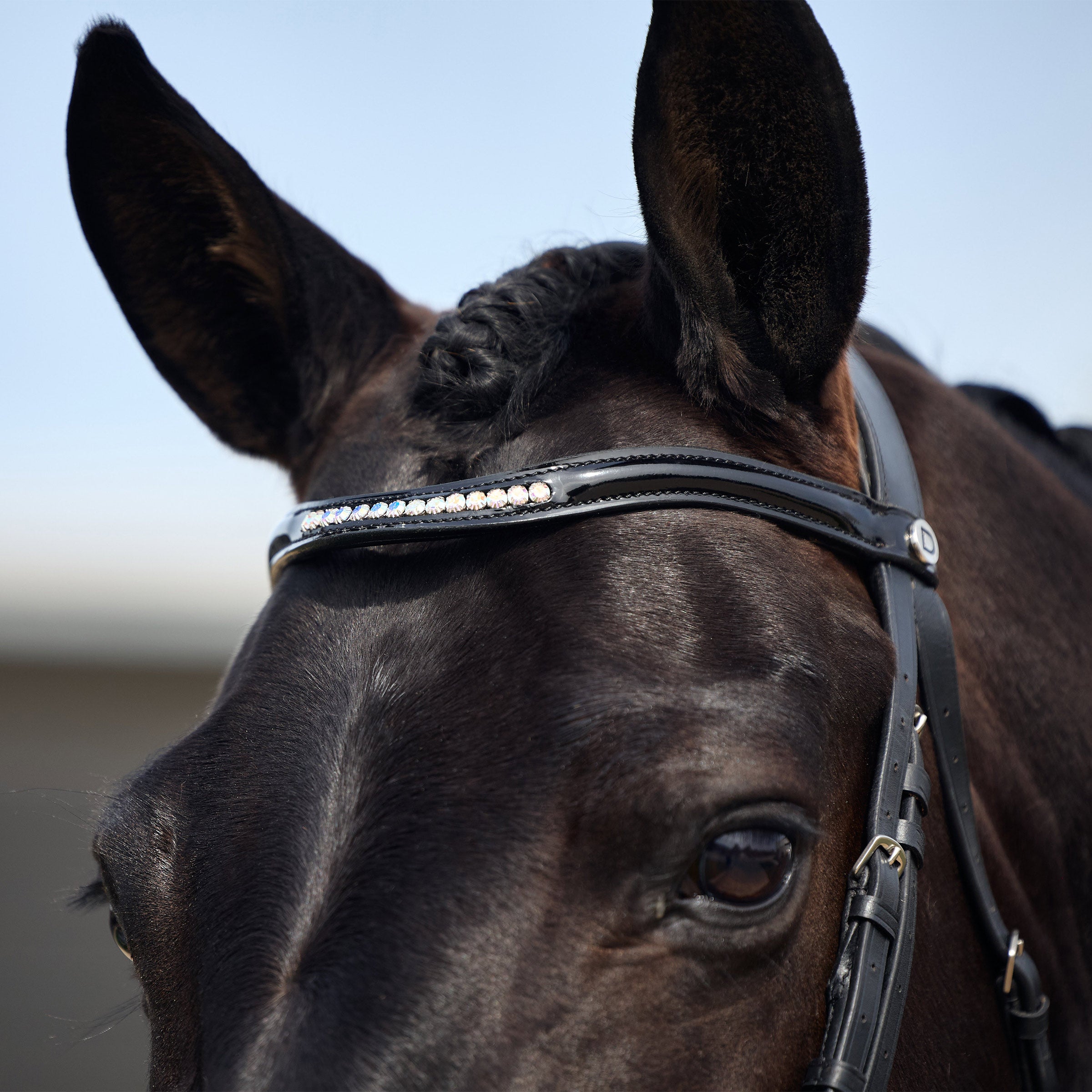 Dublin Patent Crank Bridle