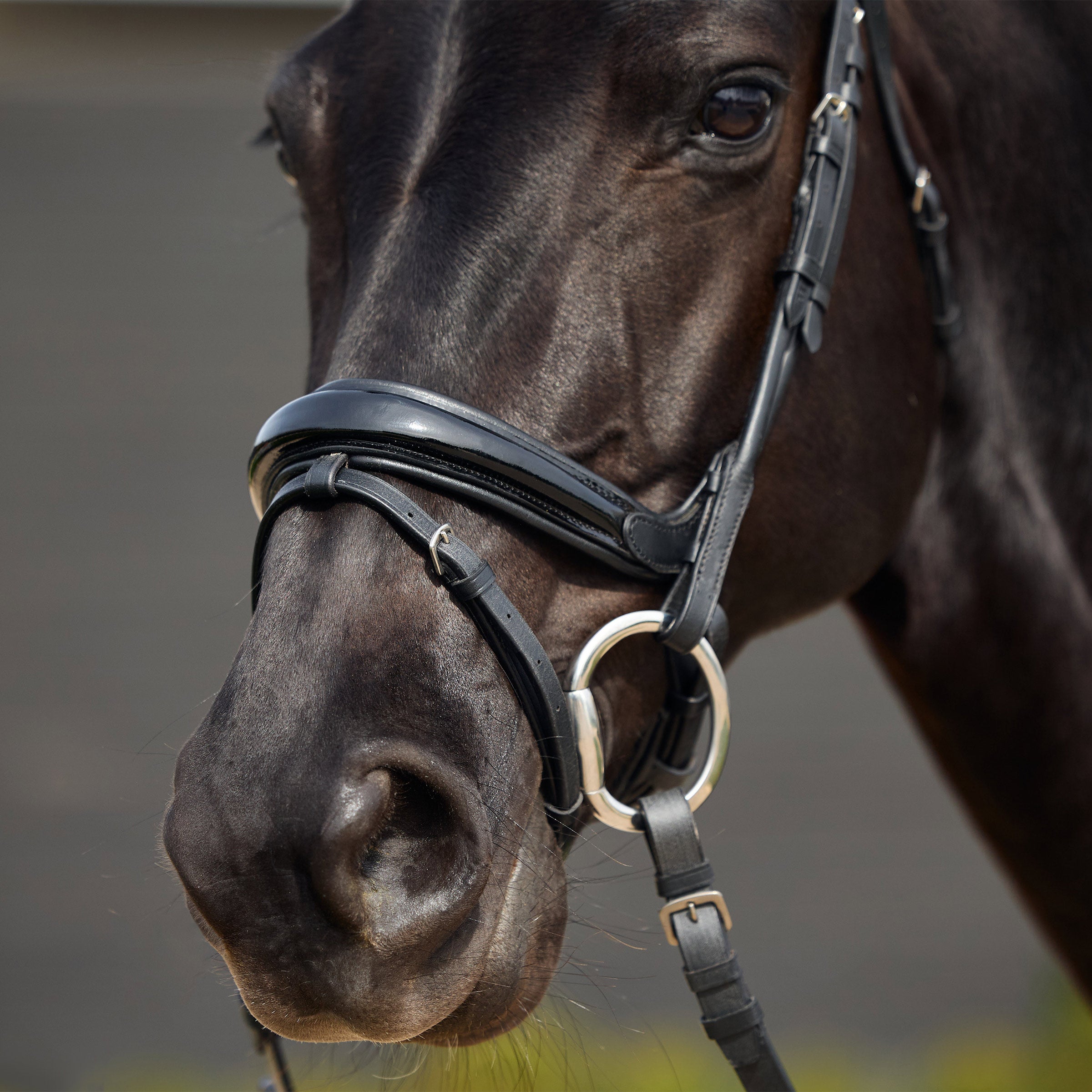 Dublin Patent Crank Bridle