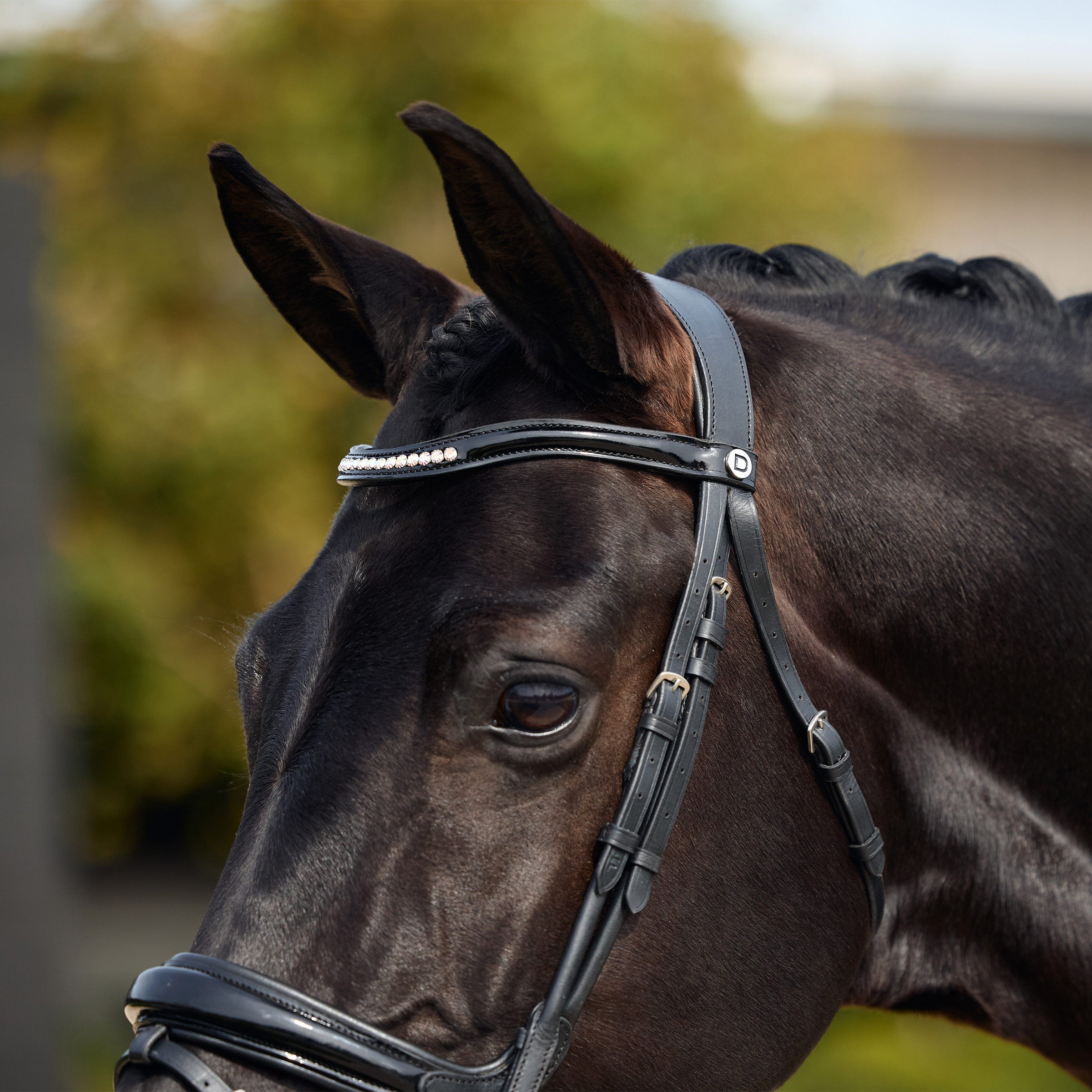 Dublin Patent Crank Bridle