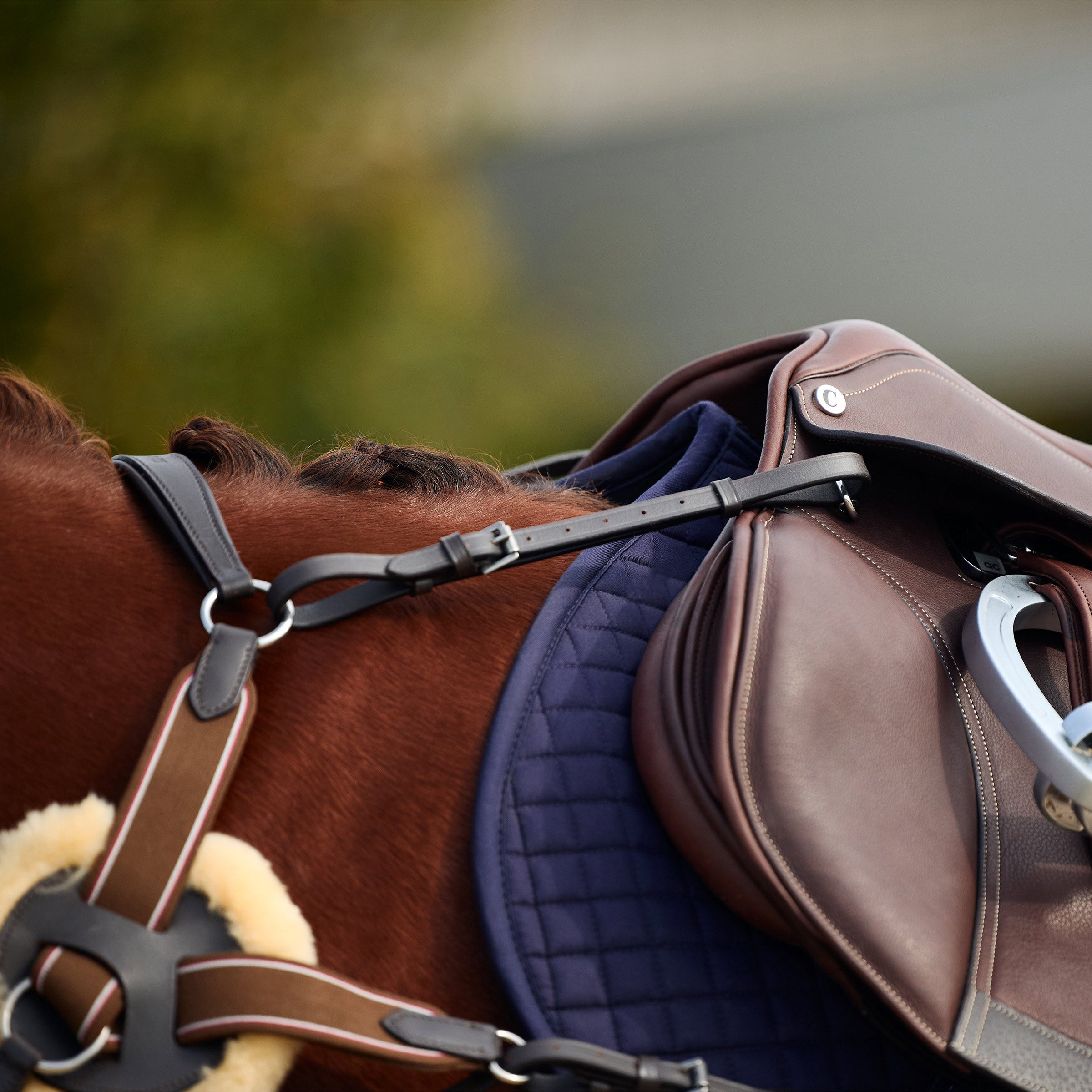 Dublin 5 Point Event Breastplate