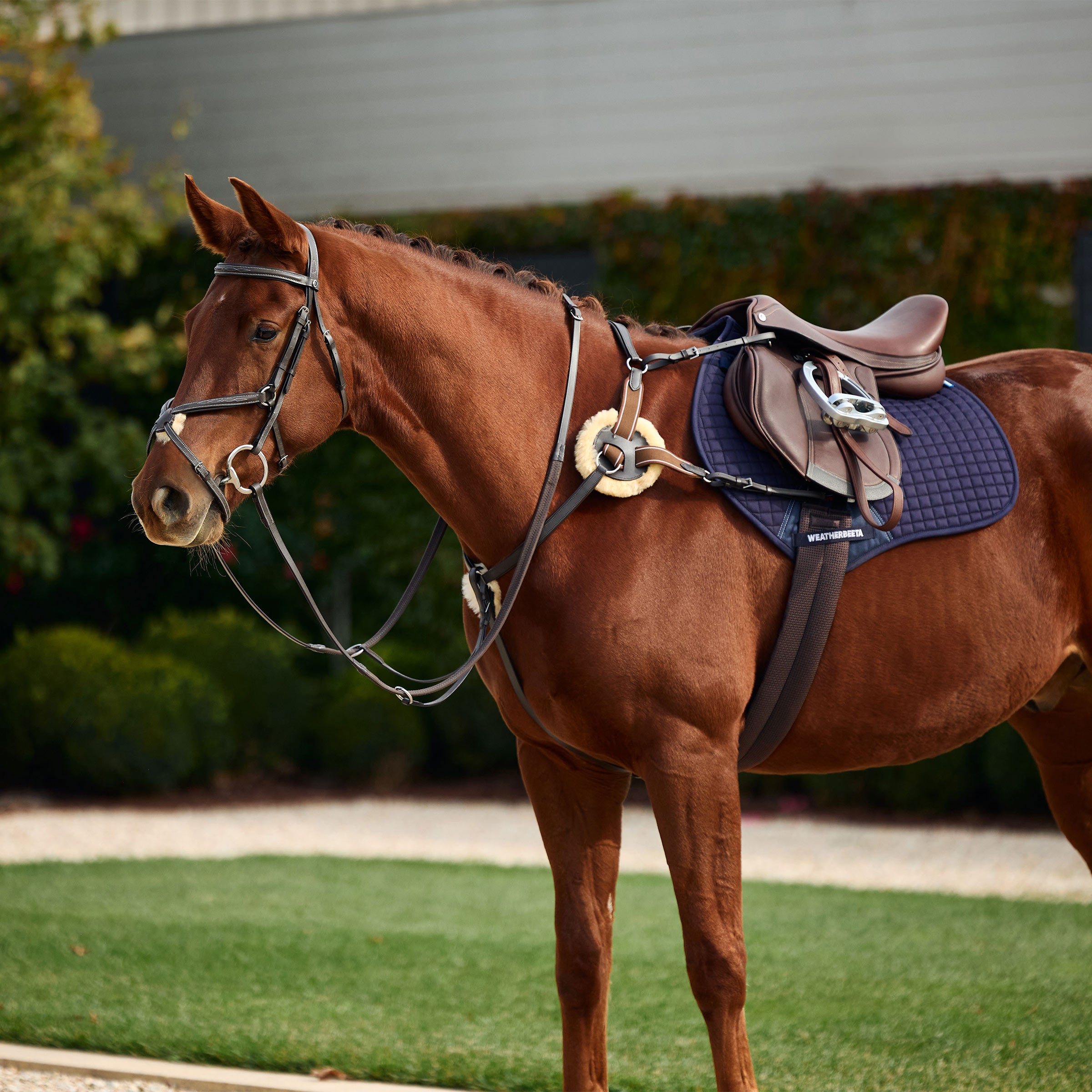 Dublin 5 Point Event Breastplate