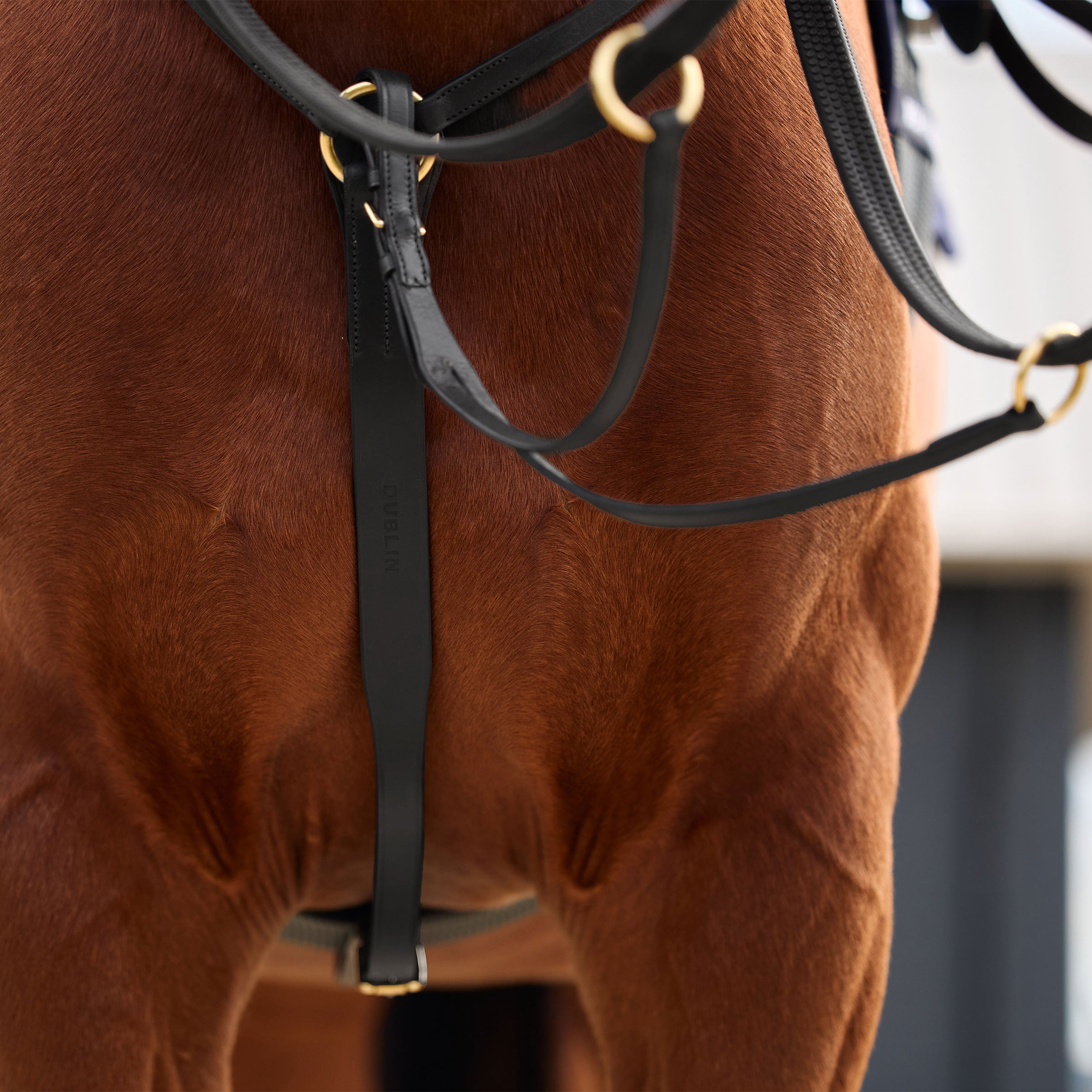 Dublin 3 Point Breastplate