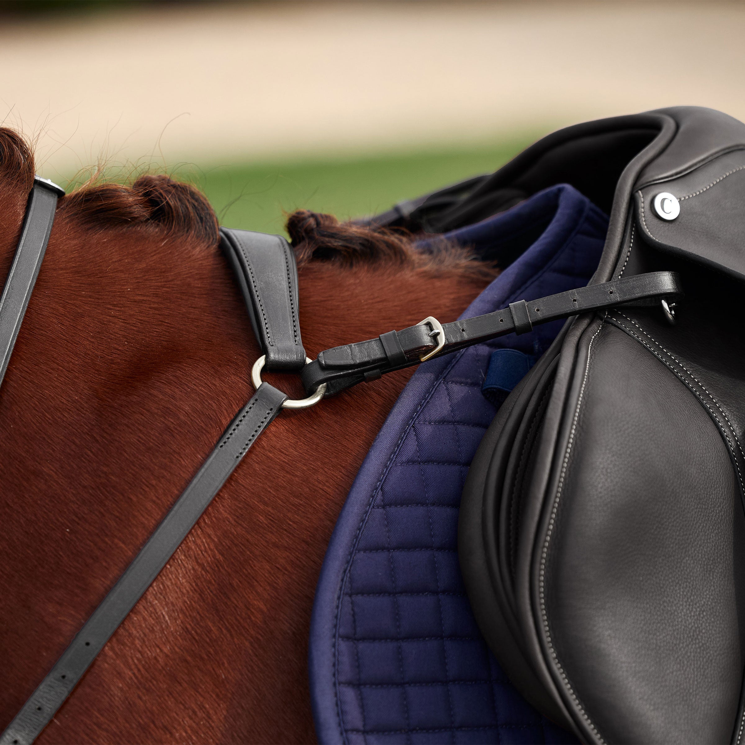 Dublin 3 Point Breastplate