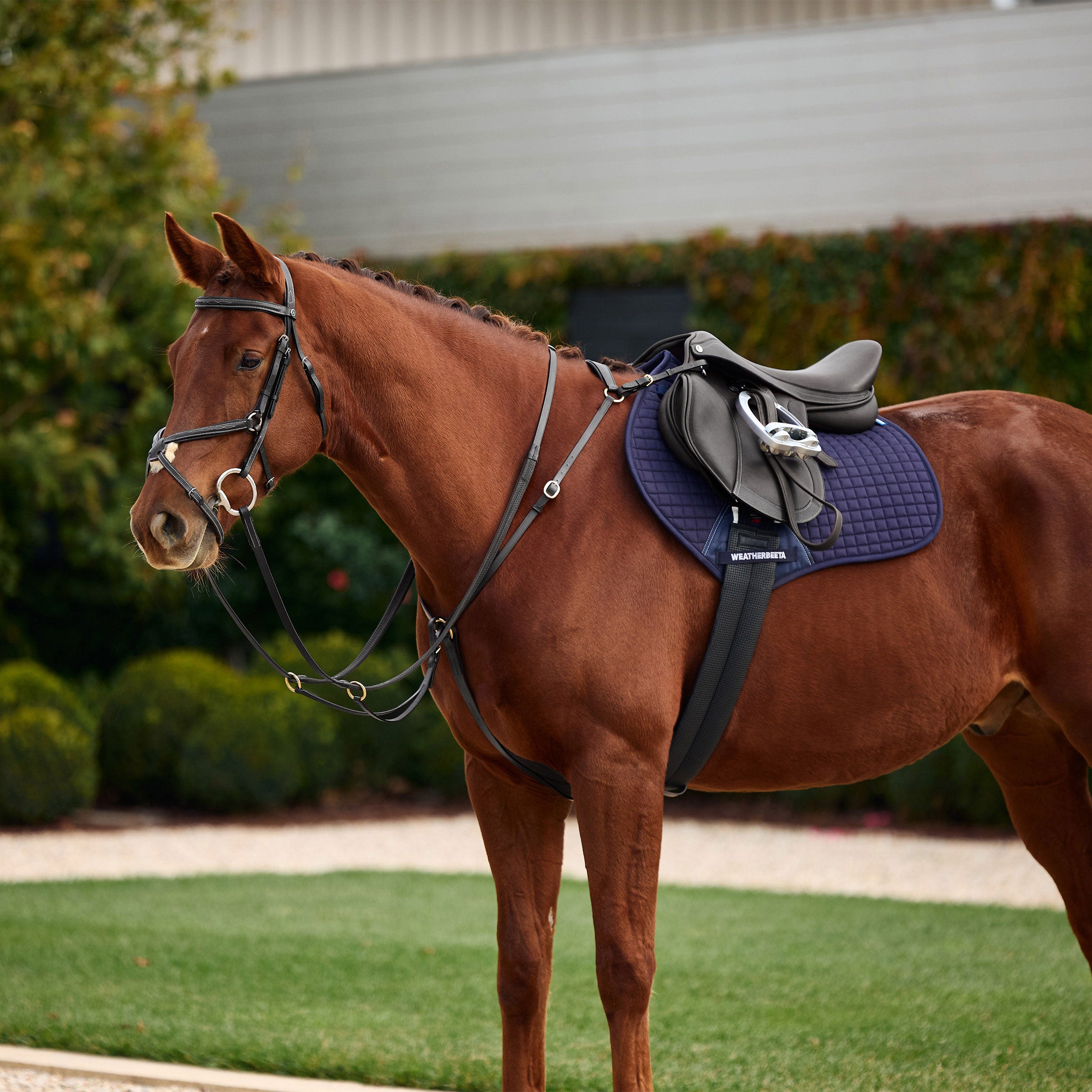Dublin 3 Point Breastplate