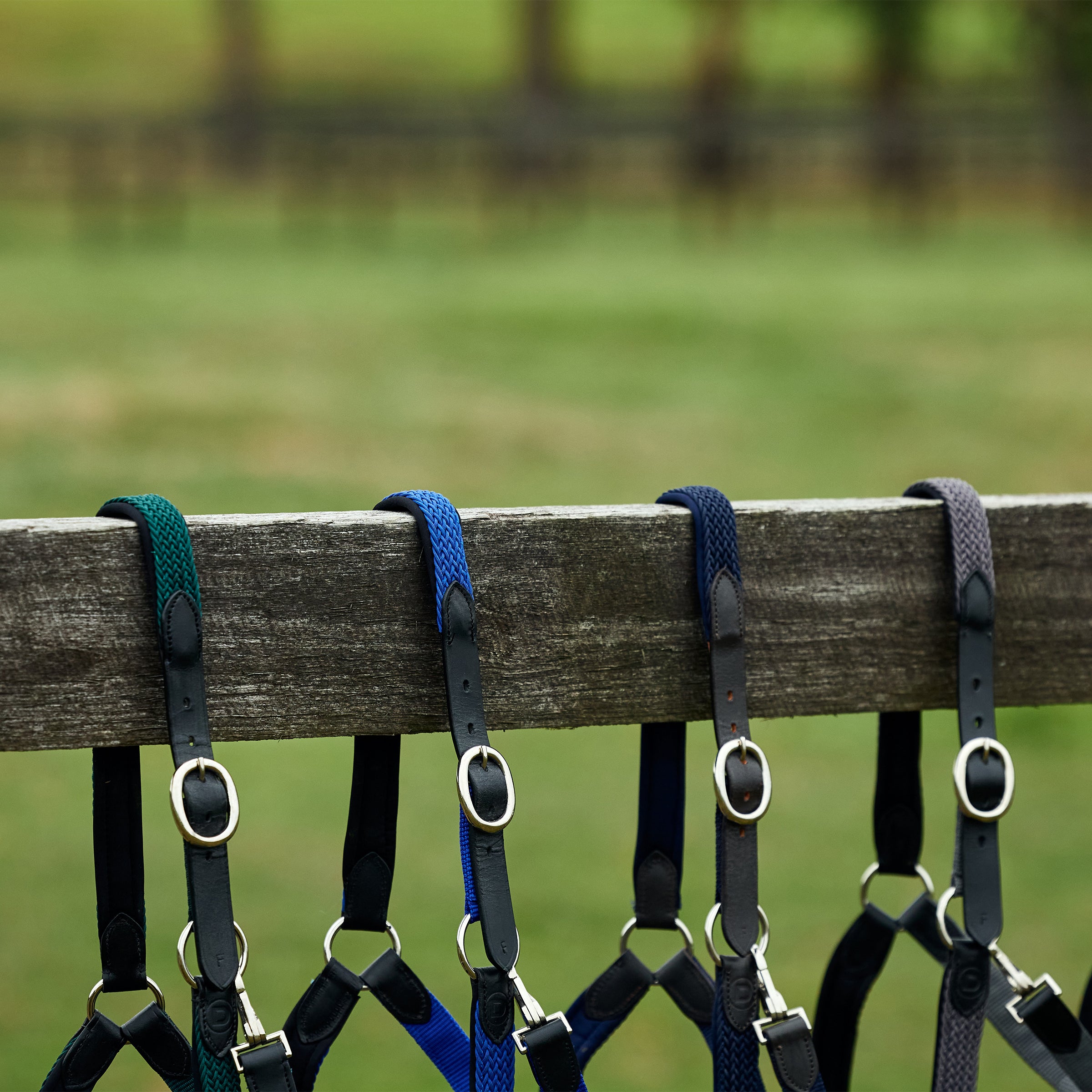 Dublin Braided Headcollar