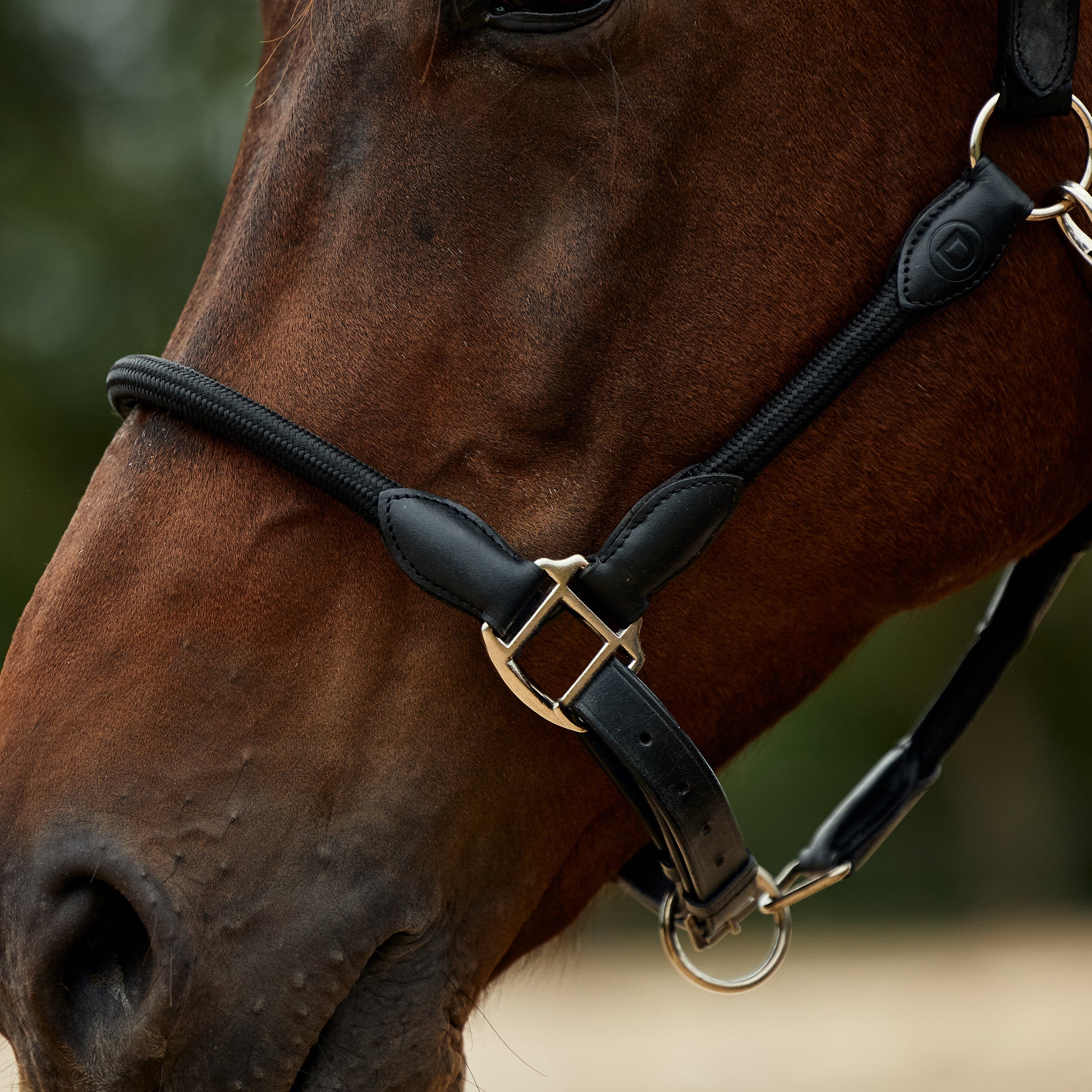 Dublin Leather Rope Halter