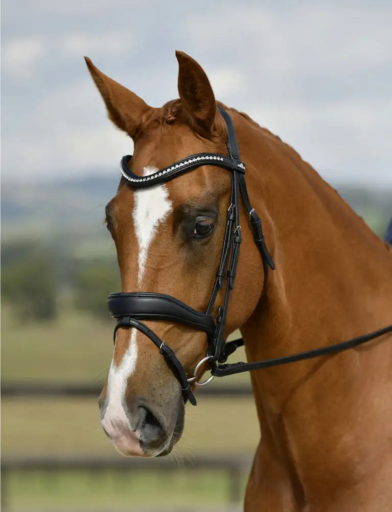 Comfitec Opulux Raised Dressage Bridle