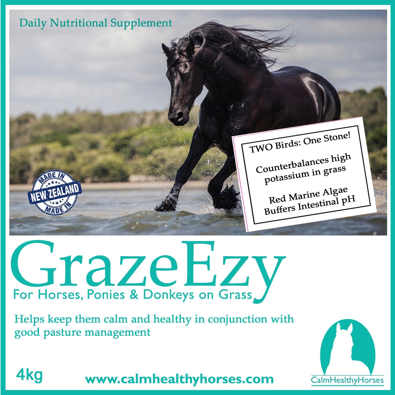 Calm Healthy Horse GrazeEzy