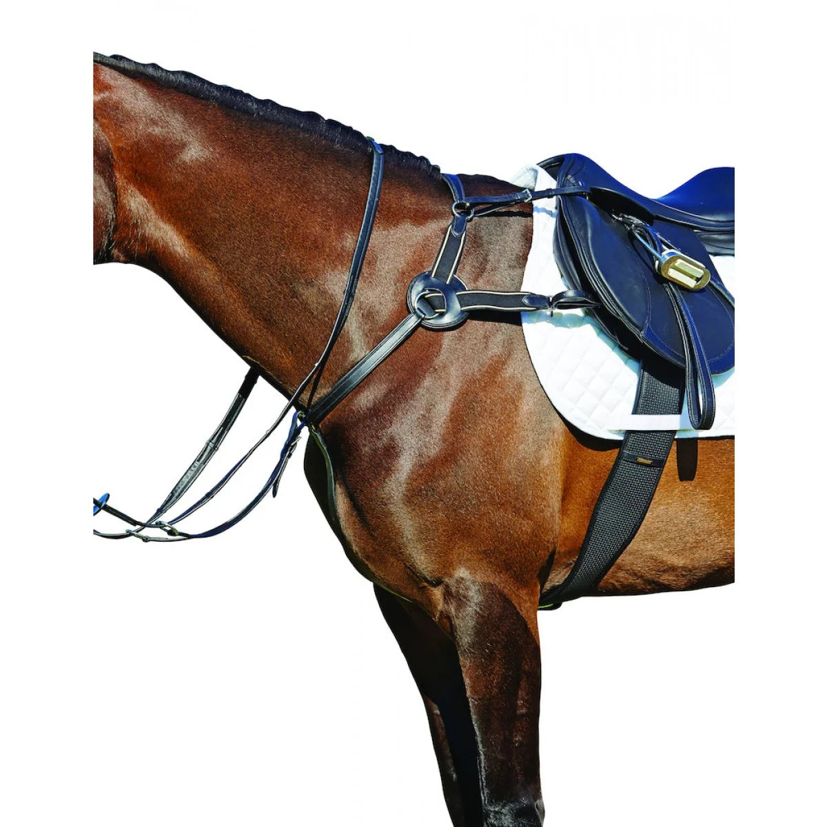 Kincade 5 Point Breastplate