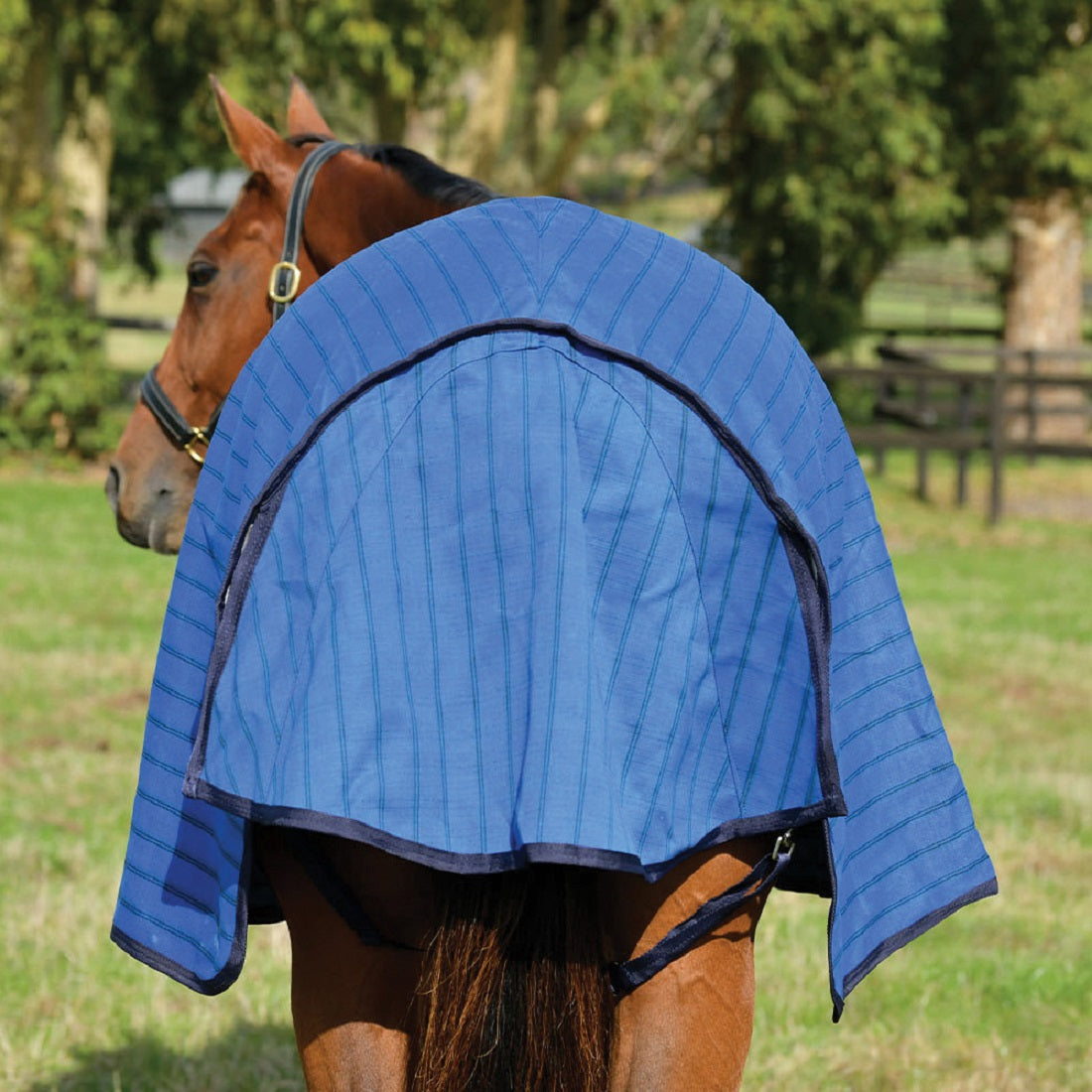 Weatherbeeta Unlined Canvas Rug