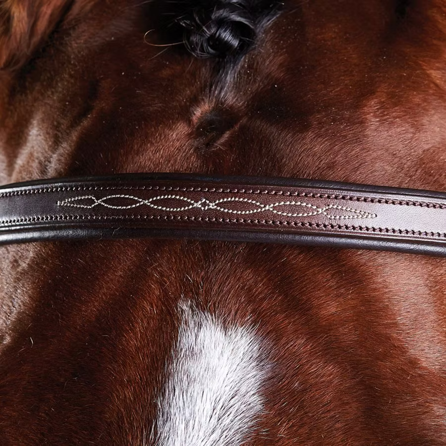 Collegiate Fancy Stitch Bridle