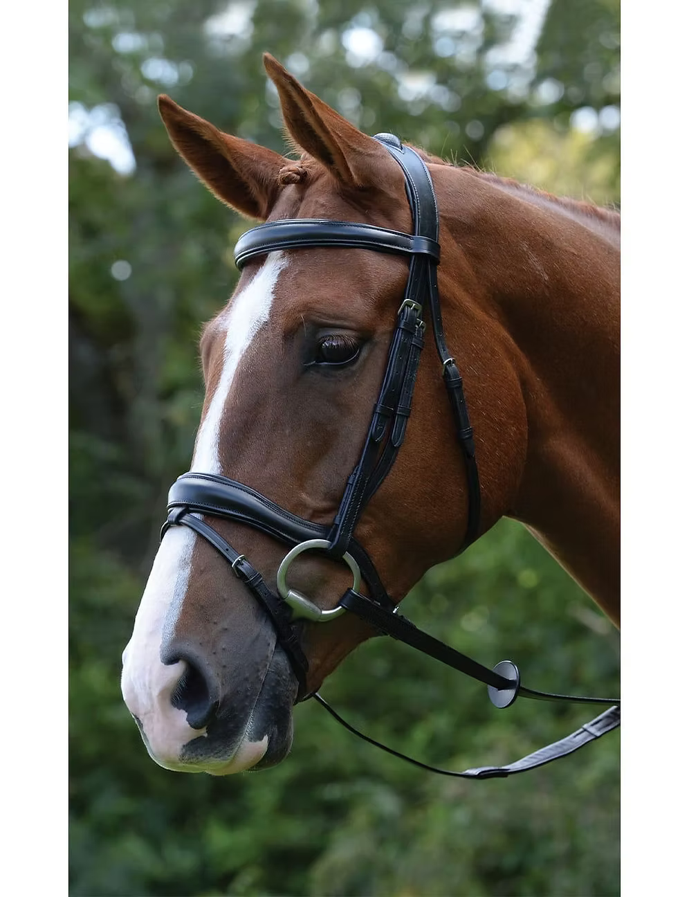 Kincade Comfort Anatomic Flash Bridle