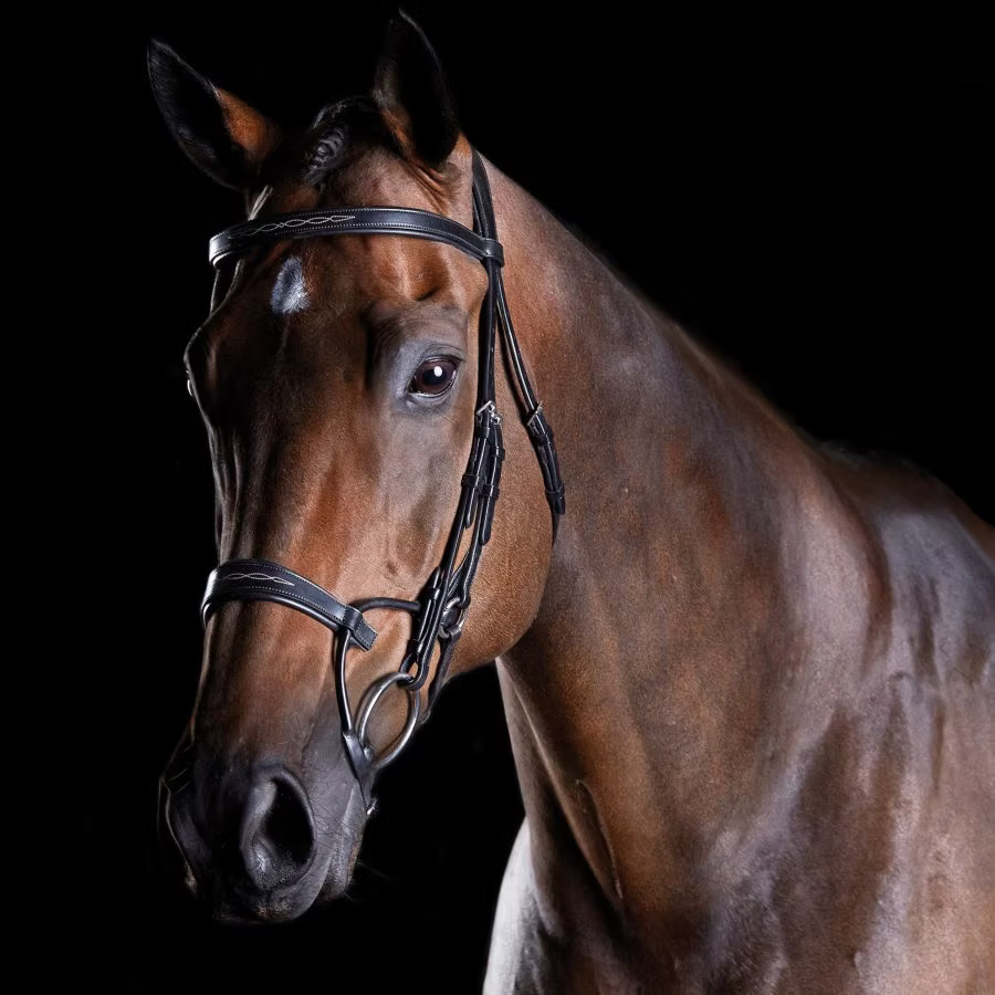 Collegiate Fancy Stitch Bridle