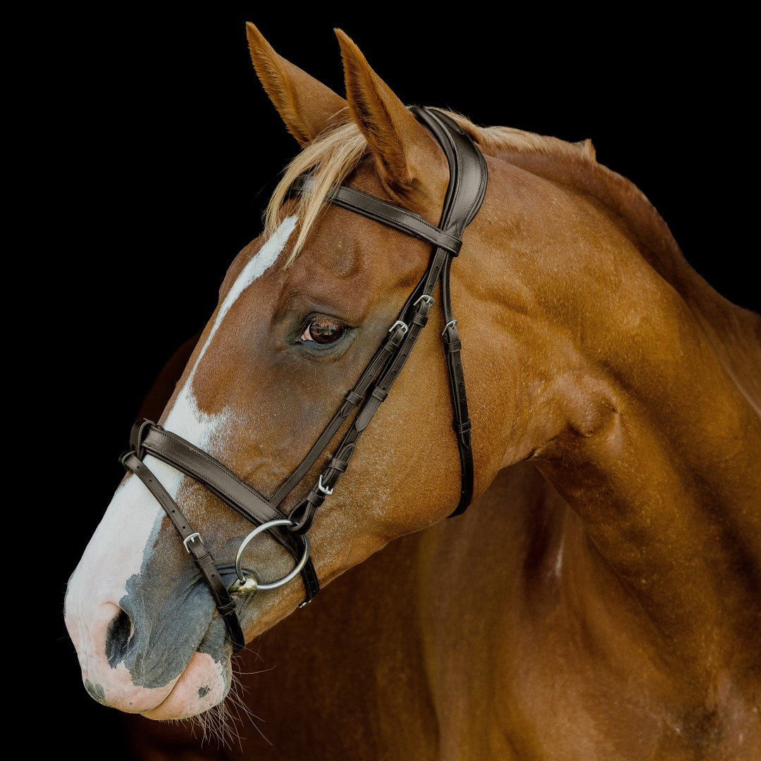 Platinum Signature Classic Bridle