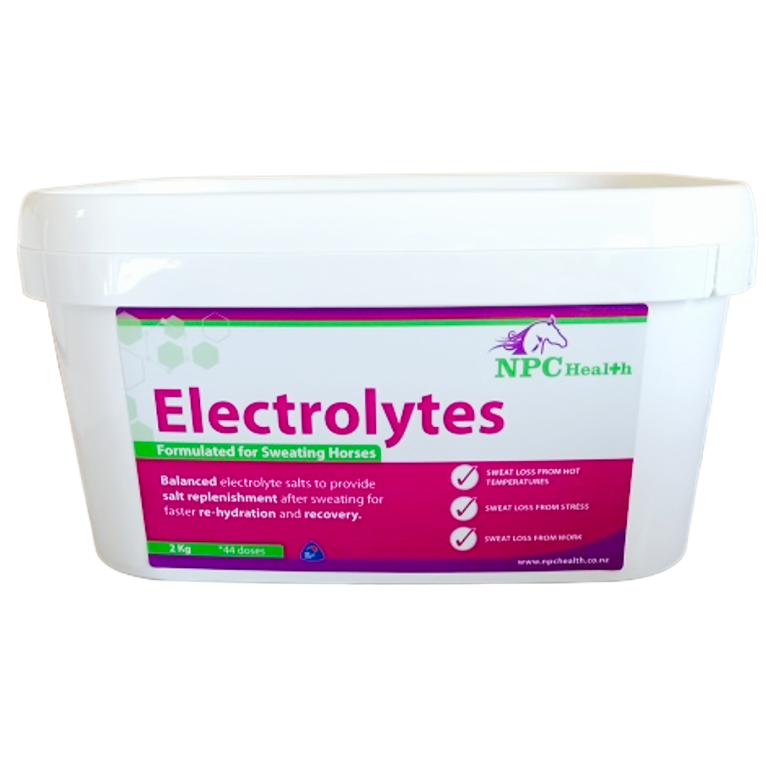 NPC Electrolytes Regular