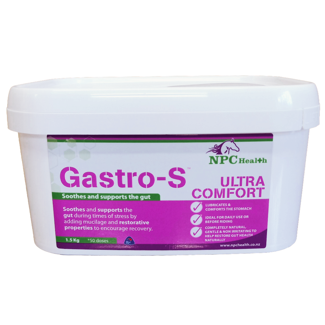 NPC Gastro S