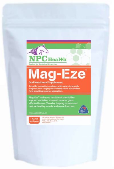 NPC Mag-Eze Regular