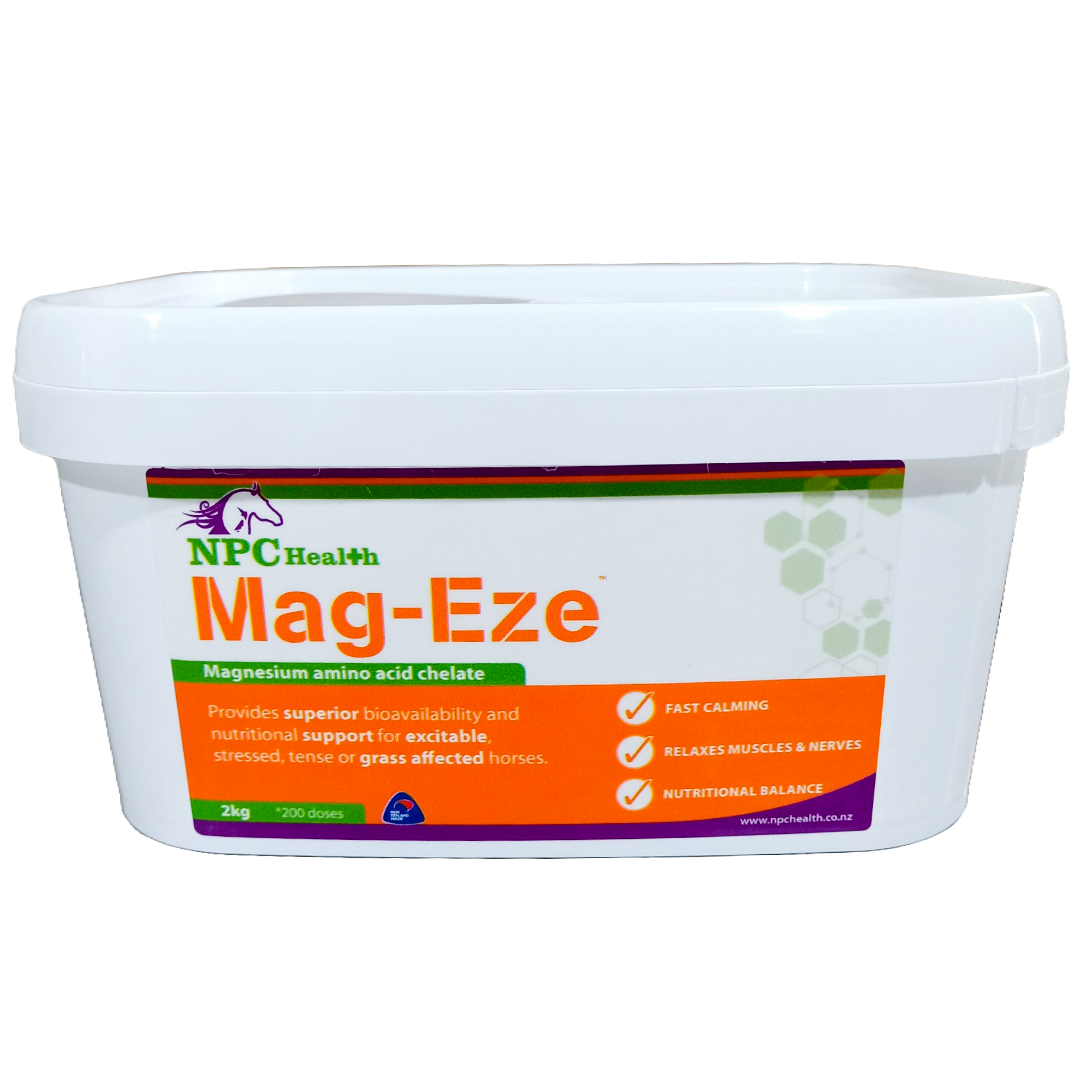 NPC Mag-Eze Regular