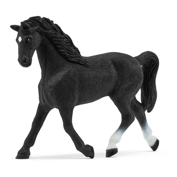 Schleich Holstein Mare Ltd