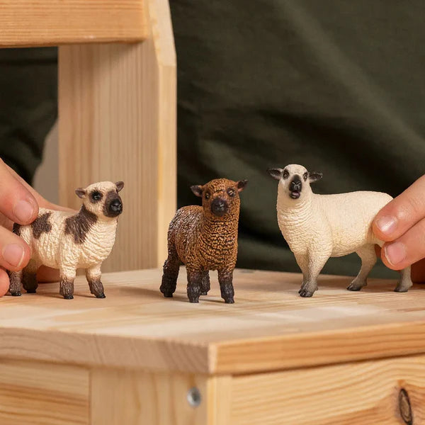 Schleich Sheep Friends