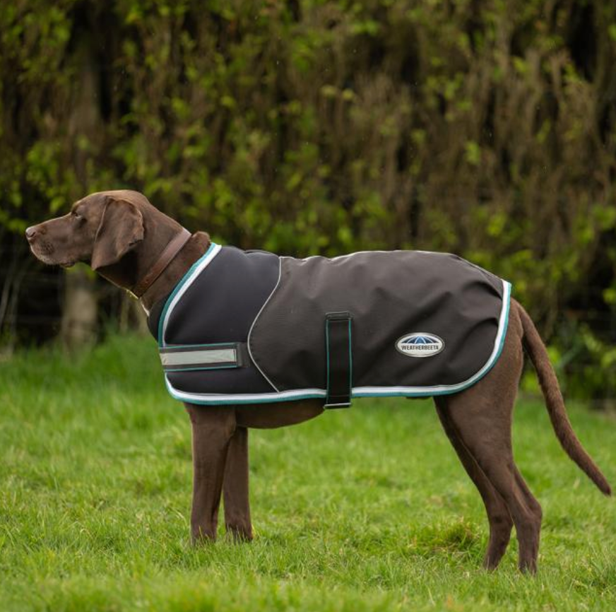 Weatherbeeta 1800d Parka Dog Coat Med/Lite - Charcoal