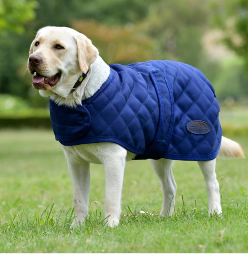 Weatherbeeta Comfitec Deluxe Dimond Quilt Dog Coat - Navy