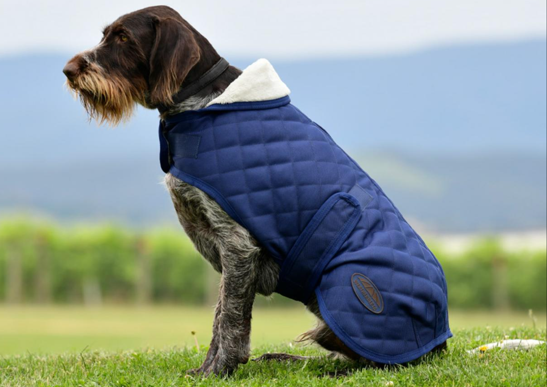 Weatherbeeta Comfitec Deluxe Dimond Quilt Dog Coat - Navy