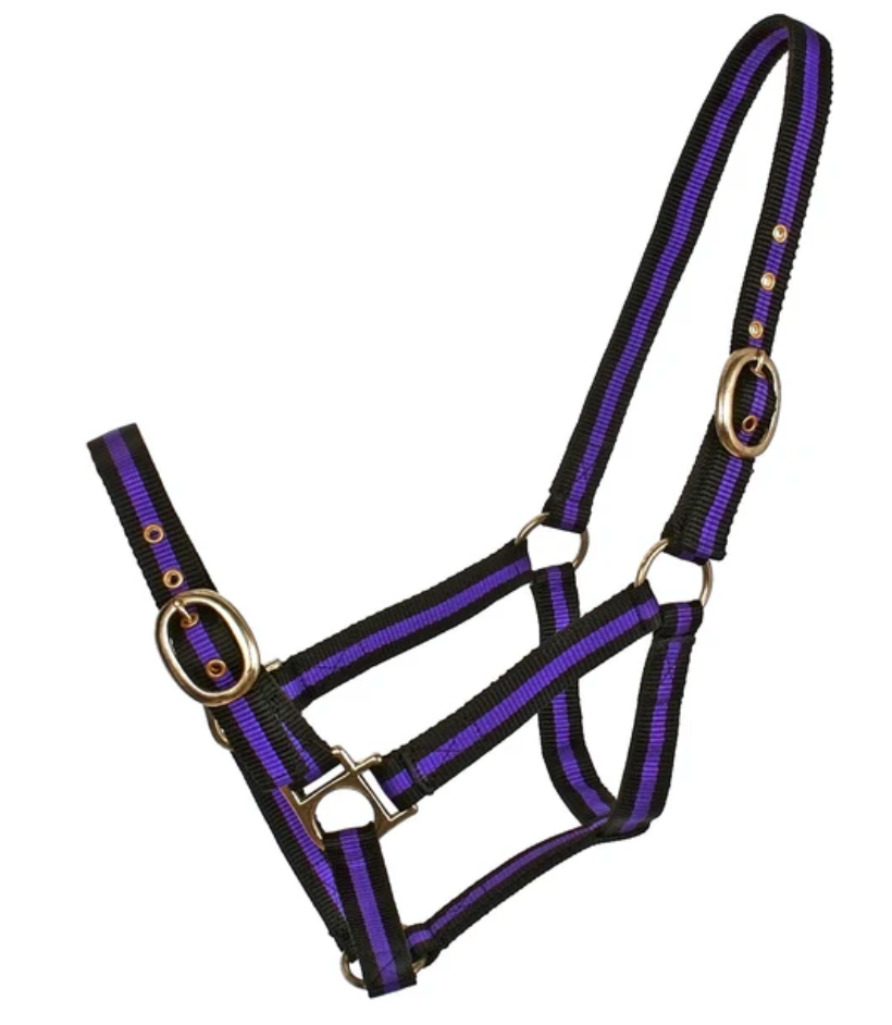 Blue Tag Striped Web Halter