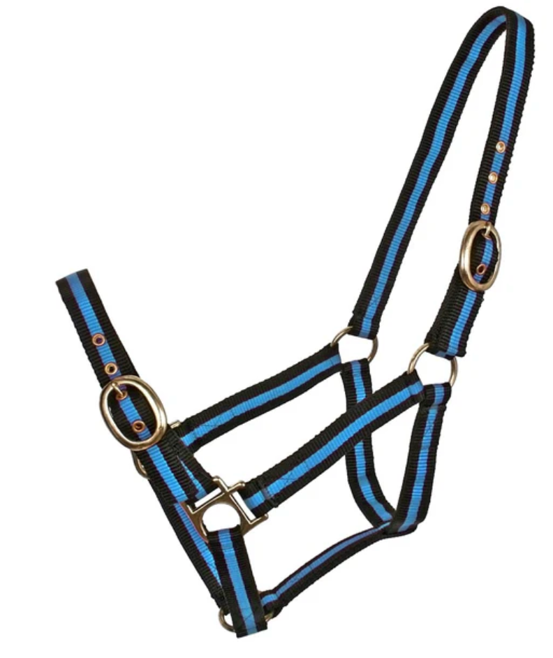 Blue Tag Striped Web Halter