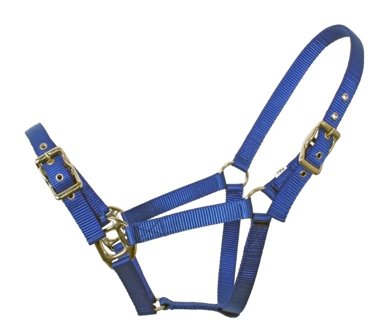 Flair Heavy Duty Nylon Web Halter