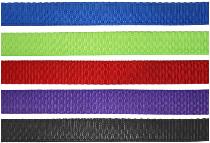 Flair Heavy Duty Nylon Web Halter