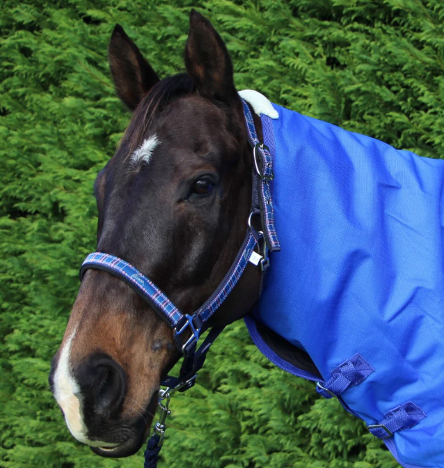 Pessoa Padded Plaid Halter