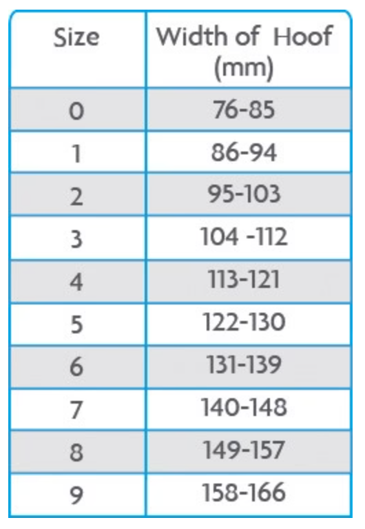 Woof Wear Medical Hoof Boot