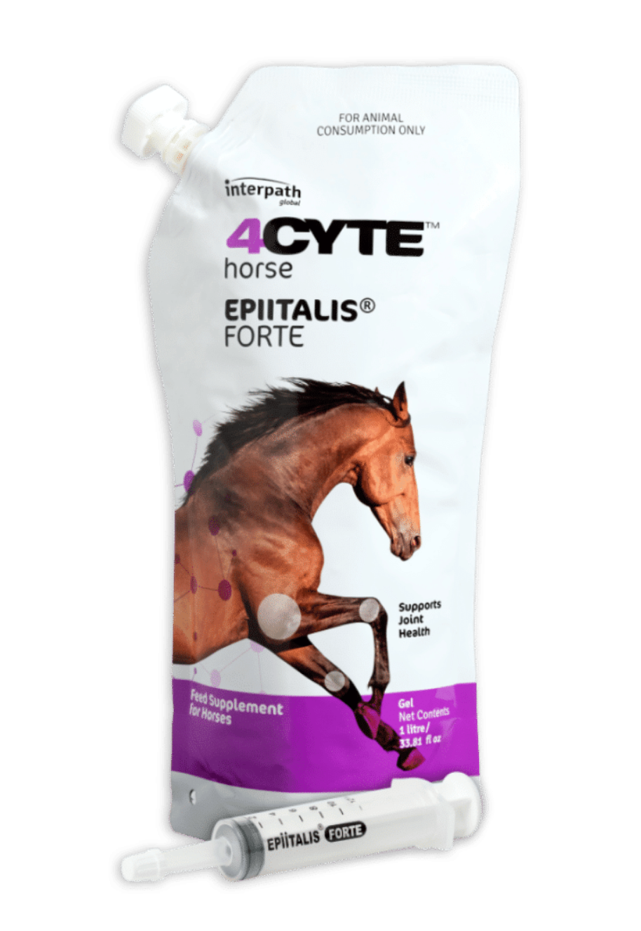 4CYTE Epiitalis Forte Horse