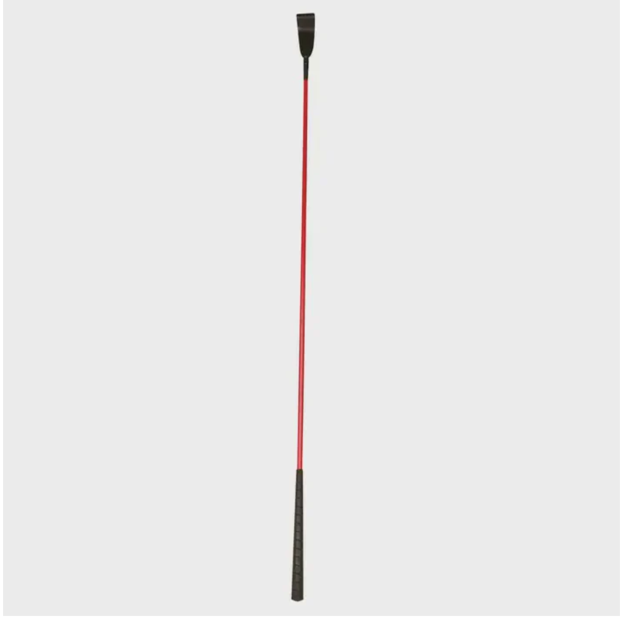 Dublin Training Arm Whip