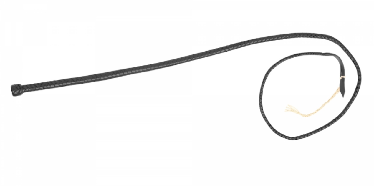 Fleck Bull whip