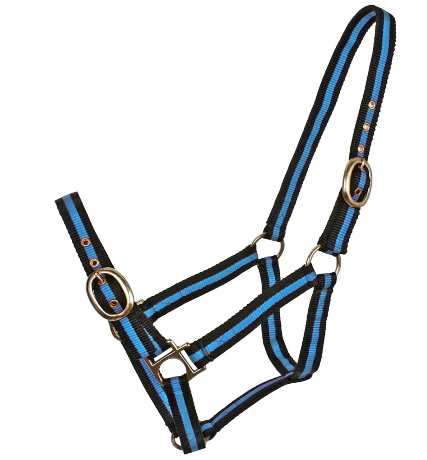 Blue Tag Striped Web Halter