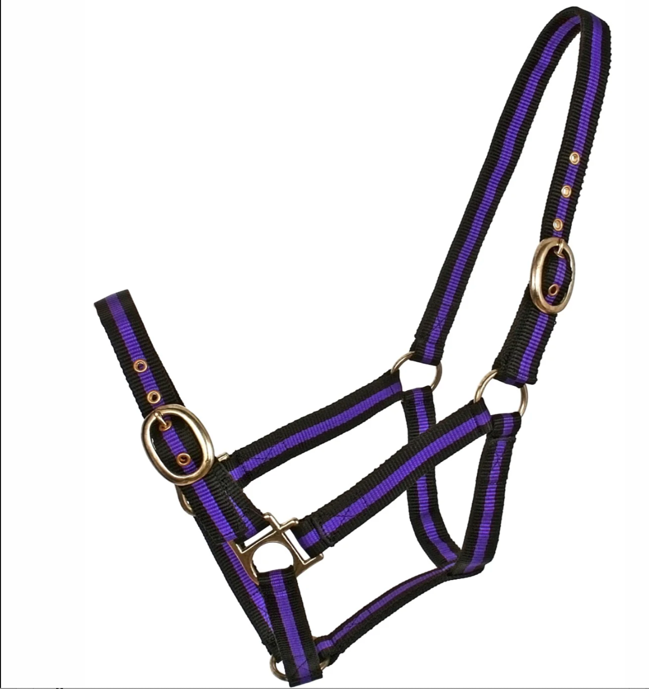 Blue Tag Striped Web Halter