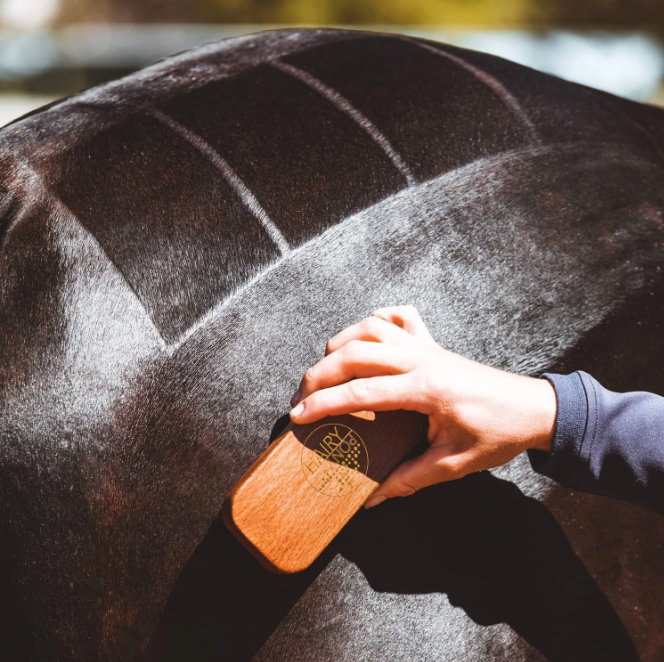Hairy Pony Quarter Marker Brush