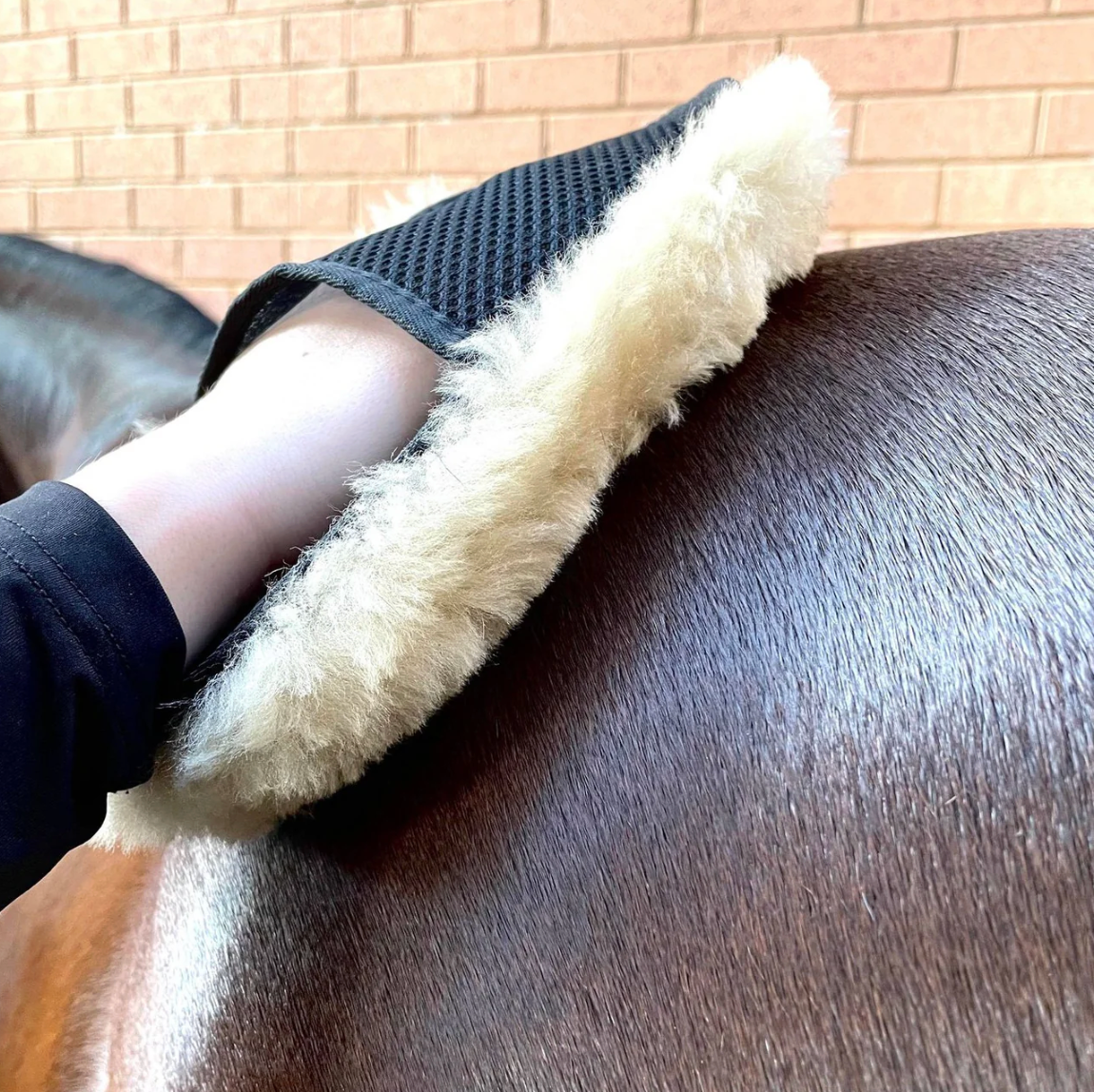 Hairy Pony Merino Polishing Mitt