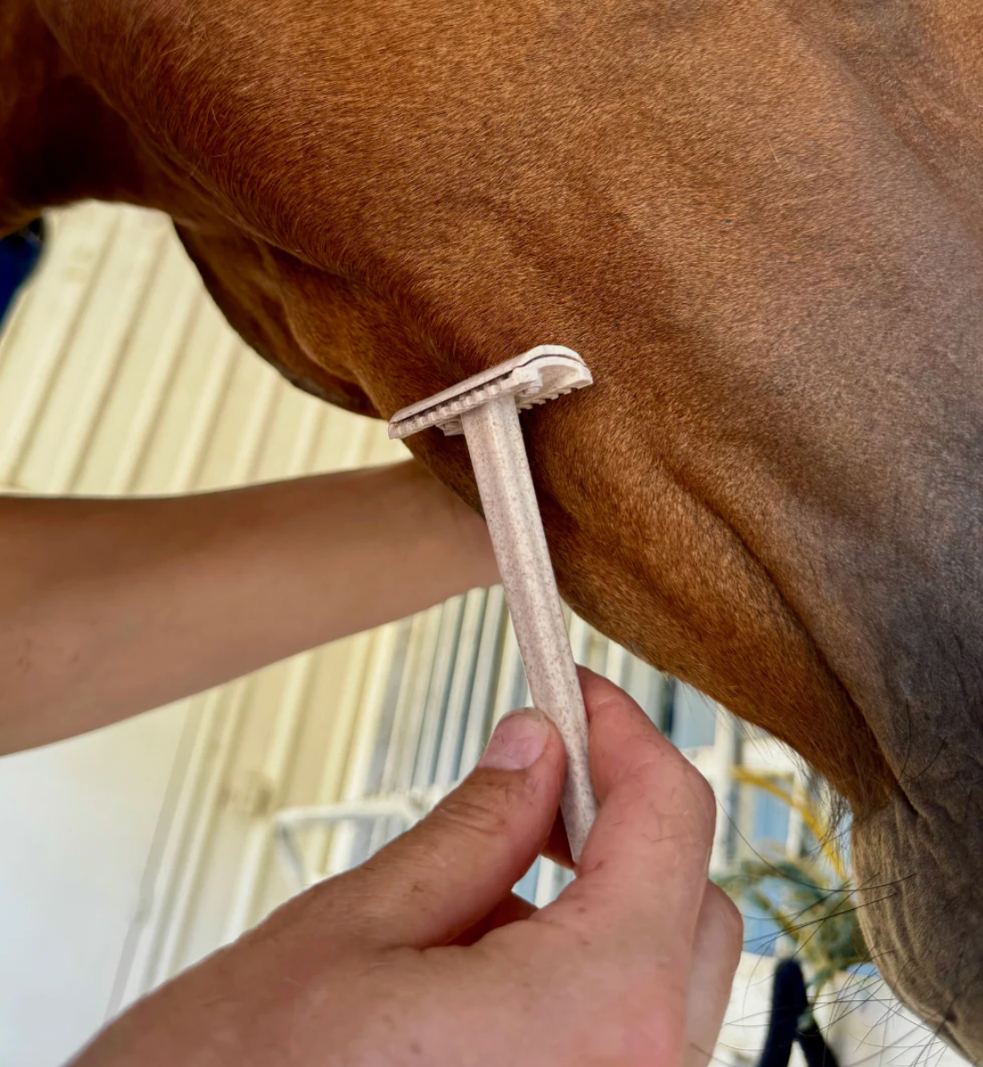 Hairy Pony Double Edge Safety Razor - 3pk