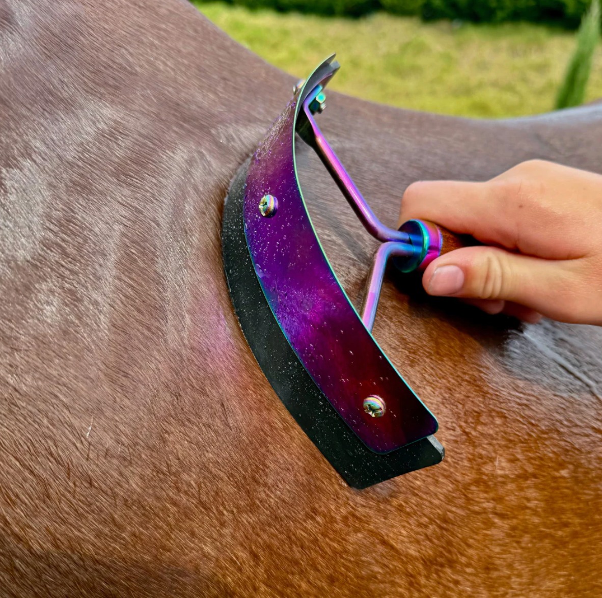 Hairy Pony Rainbow Mini Sweat Scraper