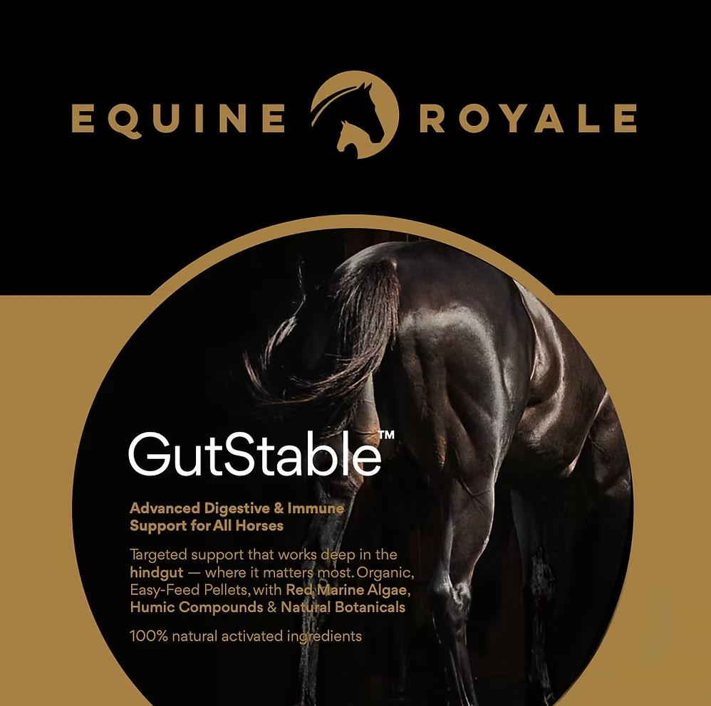 Equine Royale GutStable