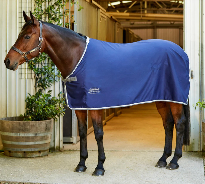 Weatherbeeta Show Rug 2025